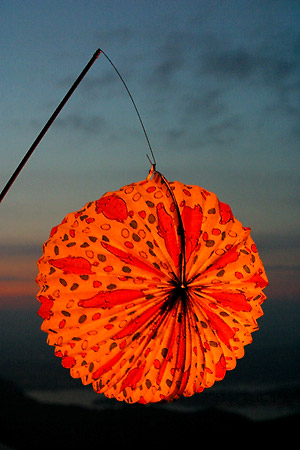 Lampion