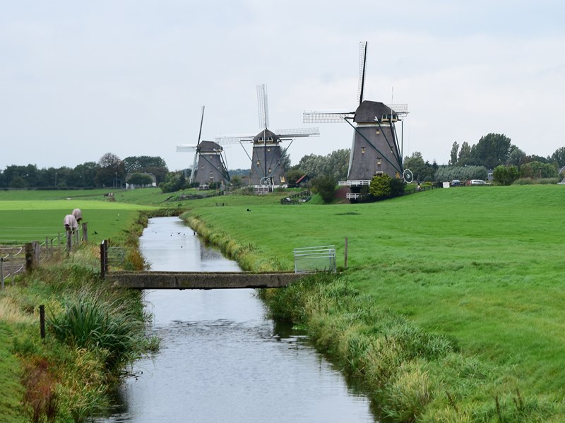 Molendriegang aan de Stompwijkseweg1