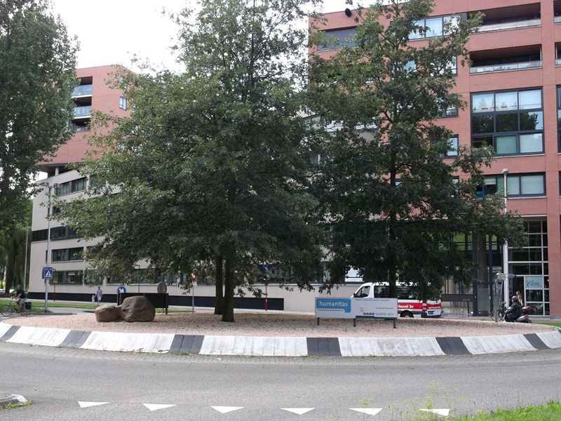 mz rotonde meerzichtlaan