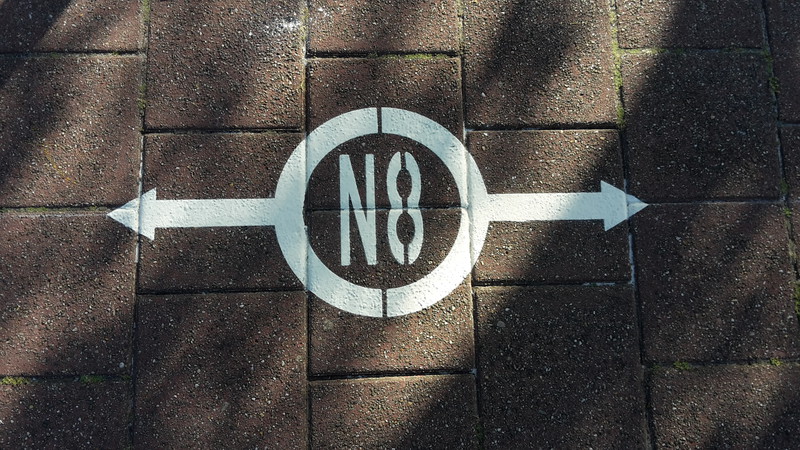 N81