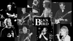 Black Bird