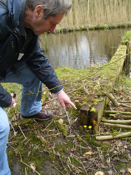 natuurtuin IVN wandeling maart 2016  2