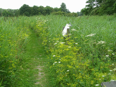 natuurtuin17 08