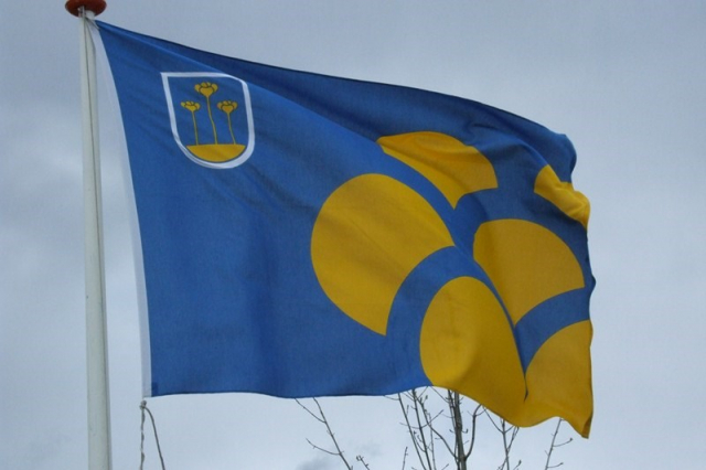 vlag zmeer