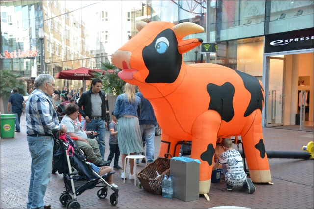 Lente op de boerderij Stadshart GVW 2541