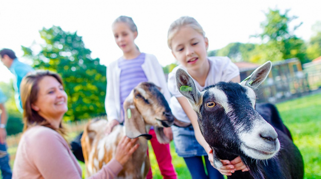 Stichting Specsavers Steunt