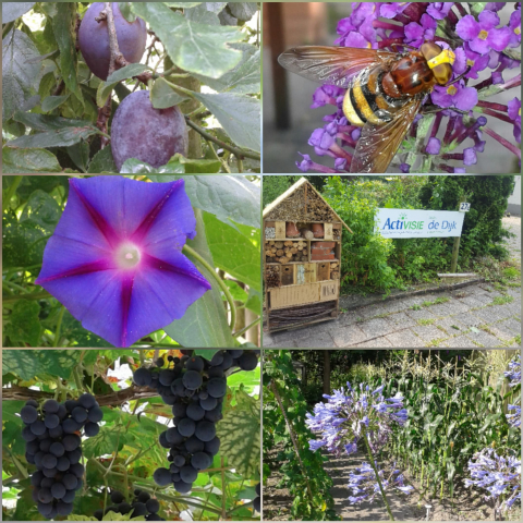 fotocollage tuin Dijk