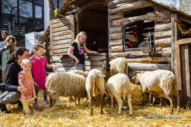 Bert's boerderij op het Lente event 2018 Stadshart Zoetermeer Foto Patricia Munster 011