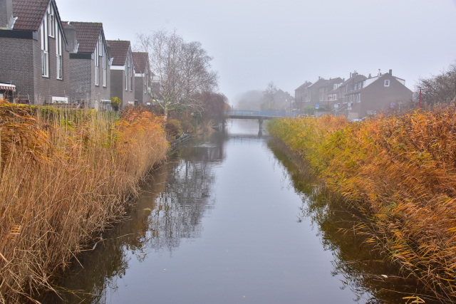 feb18 Rita Soutendijk