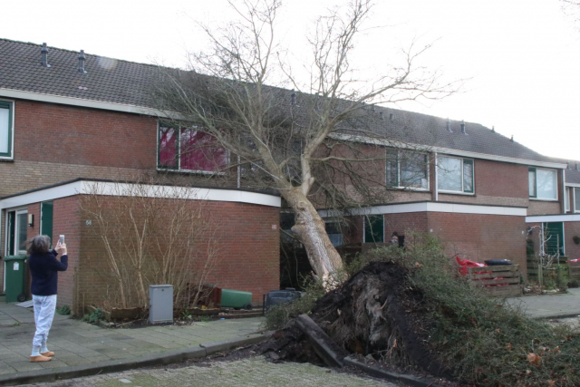 tempelberg boom op huis