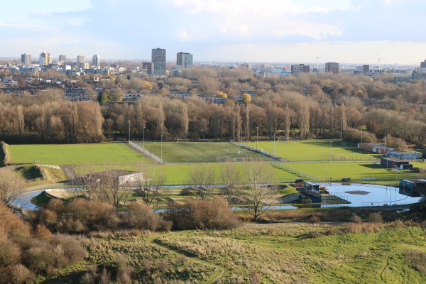 skatebaan buytenpark