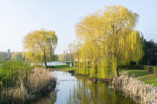 mei19 j stahlecker rokkeveen