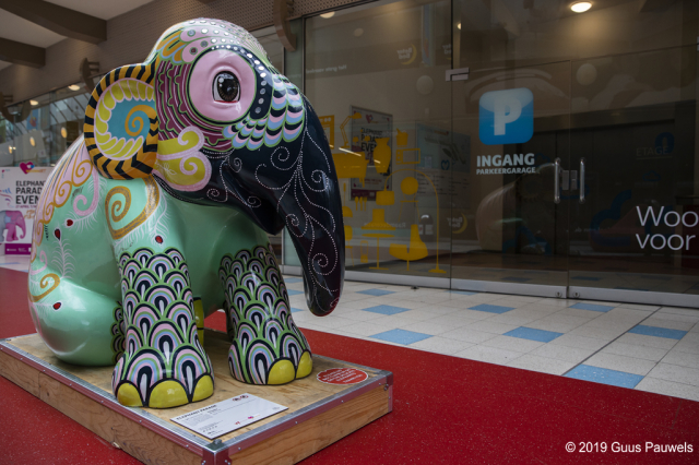 opening elephant parade woonhart 2019 zoetermeer 024