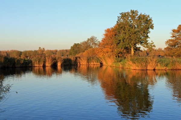 nov20_P.Nicolaas_Zoetermeerse_plas