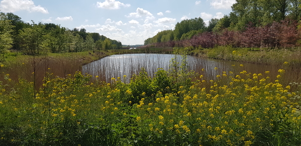 sep20_Jolene_Ganga_Floriadepad_rokkeveen