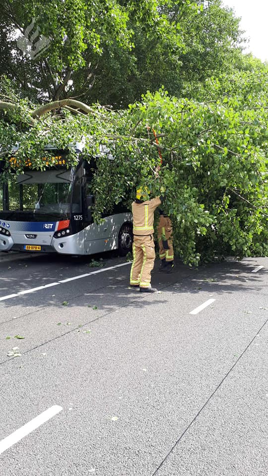 tak op bus2