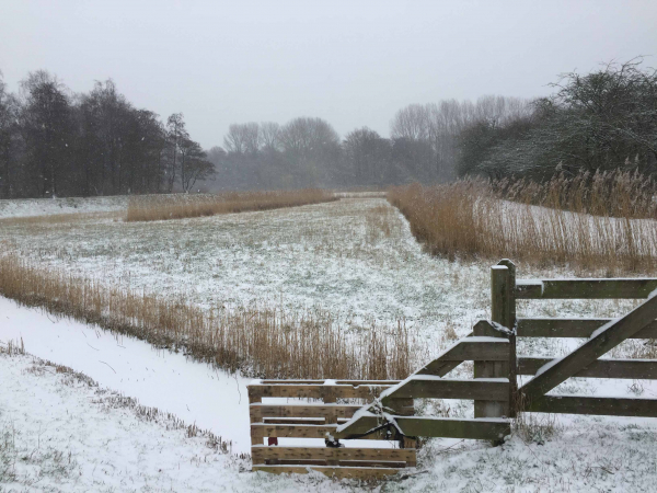 IMG 2936 sneeuw 22 jan 2019 Natuurtuin T kester 1 1