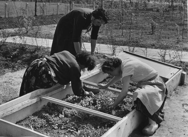 Landbouwhuishoudschool