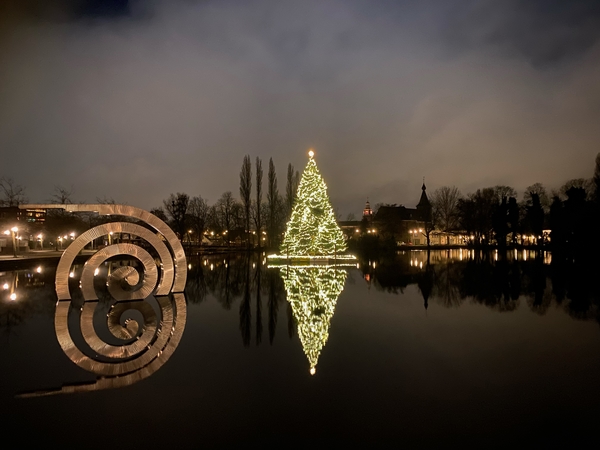 kerstboom dobbe