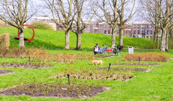 Rosarium Rokkeveen opgeknapt 3