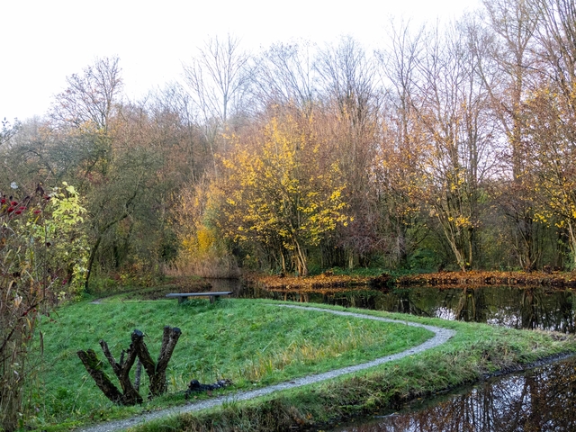 Natuurtuin 2