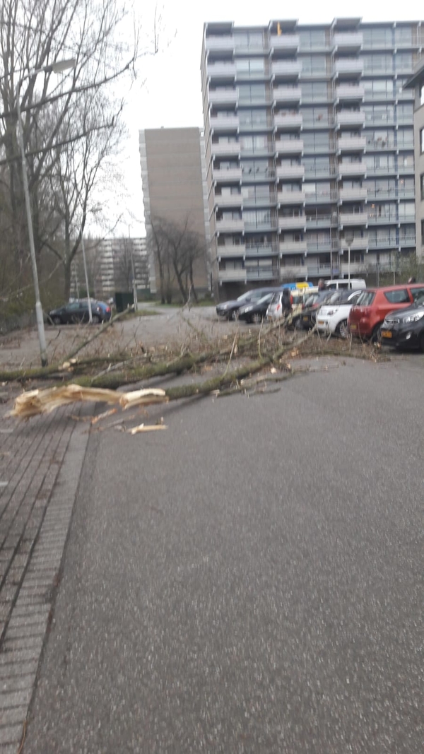 storm albrandswaard