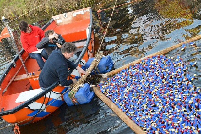 vogeltjes finish