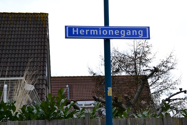 hermionegang