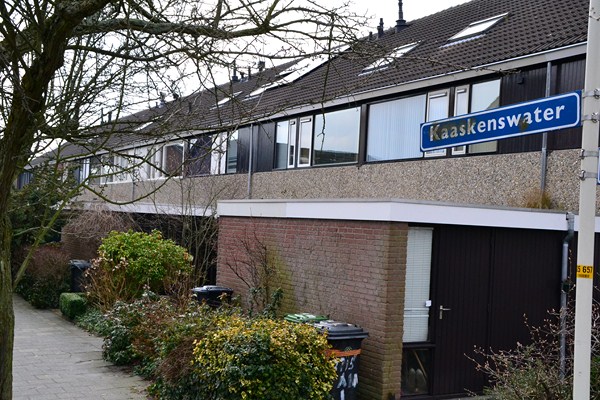 kaaskenswater3