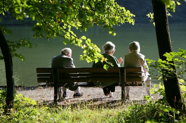 op een bankje in het park